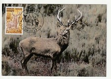 FRANCE Carte Postale - Carte Maximum - 1972 Romorantin - Le cerf de Sologne