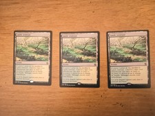 Lande venteuse - Windswept