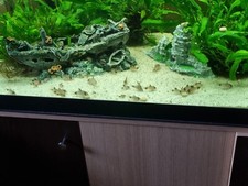 aquarium complet sans meuble de 200litres