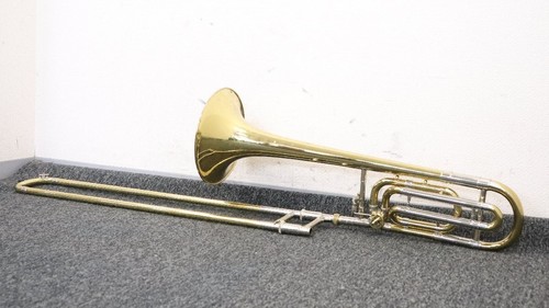 Boîtier rigide trombone bach - rigide,