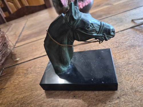 Statur regule tete - regule,
