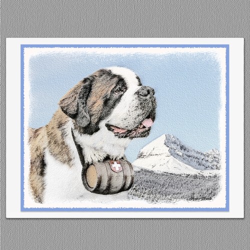 Saint bernard dog - saint,