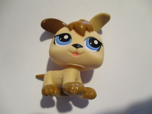 Petshop bebe chien - (, triples