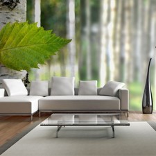 Papier Peint XXL "Feuille de Bouleau" 270x550cm