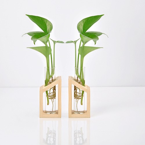 Tube essai vase fleurs - À,