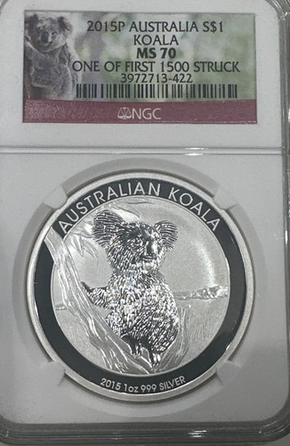 2015 australia koala 1 - australia, oz