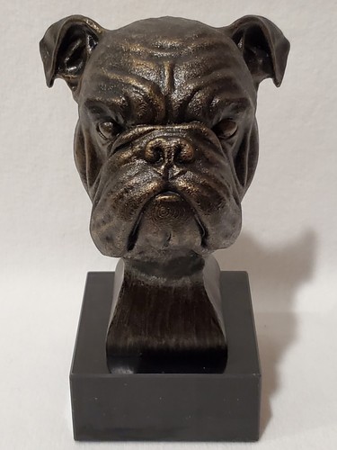 Old english dog bulldog - english, head