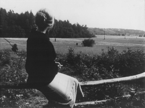 Larissa tarkovskaia andrei - larissa,