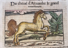 ALEXANDER THE GREAT'S HORSE 1552 SEBASTIAN MUNSTER ANTIQUE VIEW 16TH CENTURY