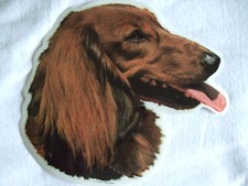 GRAND AUTOCOLLANT - motif chien  Tête TECKEL POIL LONG  N° 1