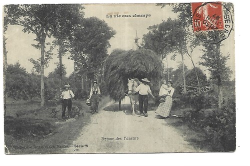 Agriculture vie aux - agriculture, champs