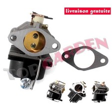 Carburateur pour Tecumseh