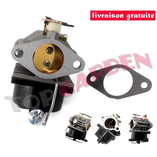 Carburateur pour tecumseh - carburateur,