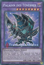 Yu-Gi-Oh! Paladin des Ténèbres : SE BLMM-FR008