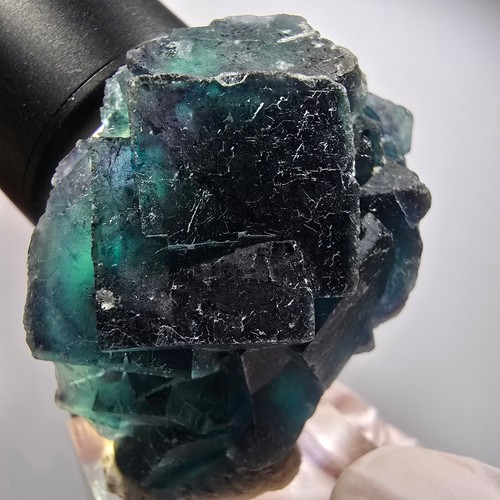 Spécimen cube fluorite - de,