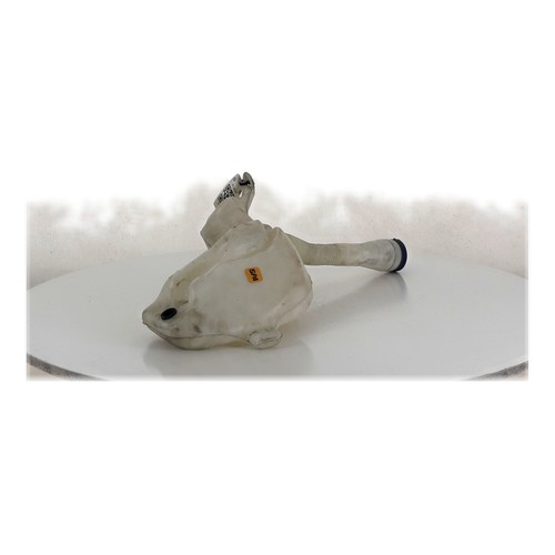 Bocal lave glace - , 307