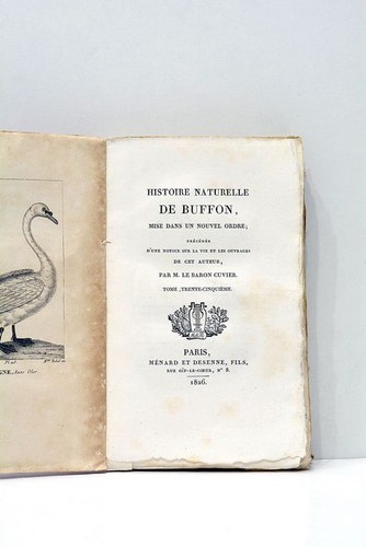 Histoire naturelle tome 35e - histoire,