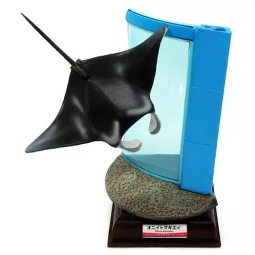 Manta ray kaiyukan museum - manta,