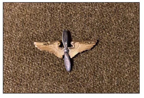 Ww2 insignes aaf dday - insignes,