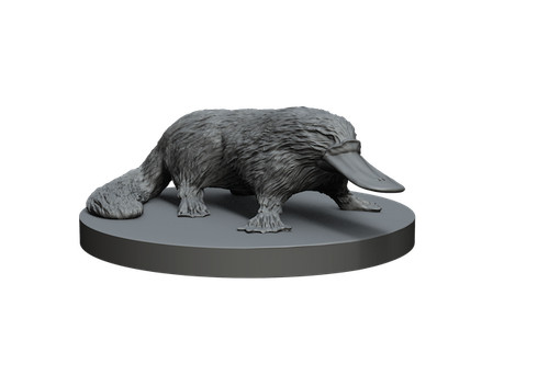 Impréssion ornithorynque - impréssion, 3d