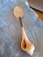 Ancienne Cuillère à Caviar, Nacre Et Coquillage