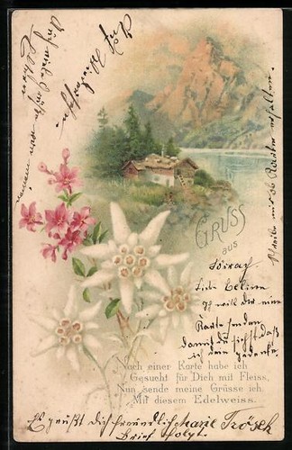 Lithographie edelweiss avec - lithographie,