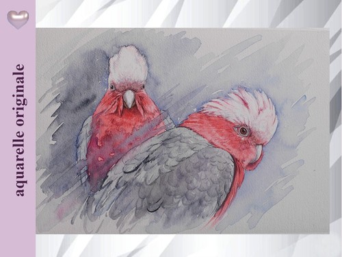 Aquarelle cacatoès - aquarelle, de