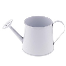 Mini arrosoir en métal