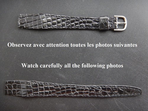 Crocodile veritable noir - 14, mm