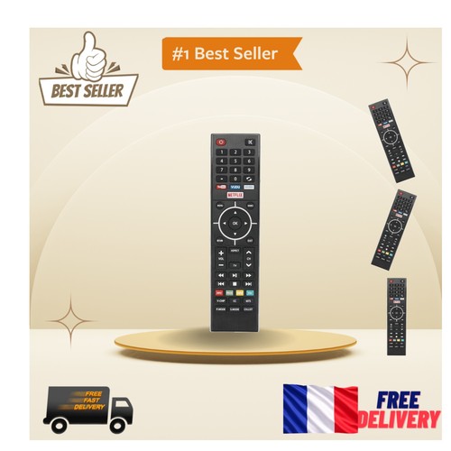 Télécommande ergonomique - télécommande,