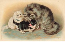 CHATS CHAT #FG35111 CAT KATZE MAMAN CHAT PERSAN ET SES CHATONS