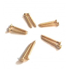 10 VIS Gold 3 x 25 mm pour