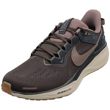Nike Air Zoom Pegasus 41 Noir Thé - Hommes