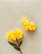 🤍 Boucles d’Oreilles