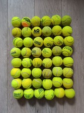 Lot 48 Balles Tennis Utilisées Entraînement Chien Animaux Chat Oiseaux Jouet Art