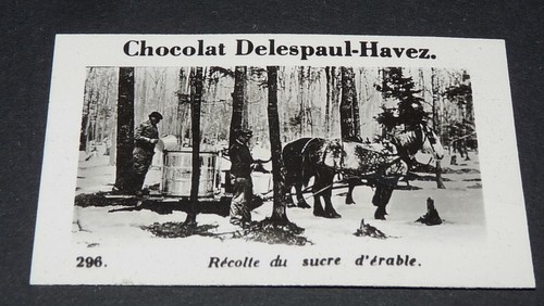 Photo chocolat delespaul havez - chocolat, delespaul-havez