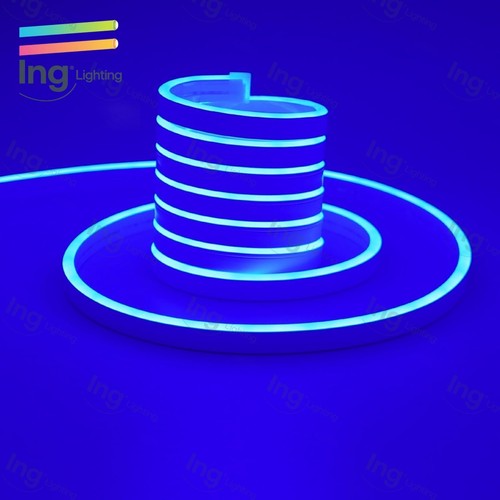 Blue 110v outdoor neon light - outdoor,