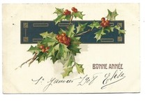 FANTAISIE - BRANCHES DE HOUX -