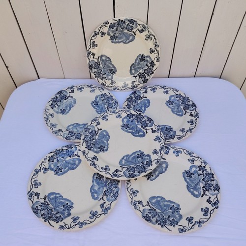 Assiettes les salins - assiettes,,