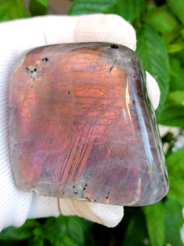 Labradorite polie - , –