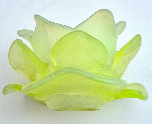 Tulipe verte pate verre - verte,