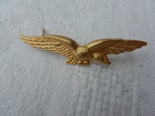 insigne charognard épervier