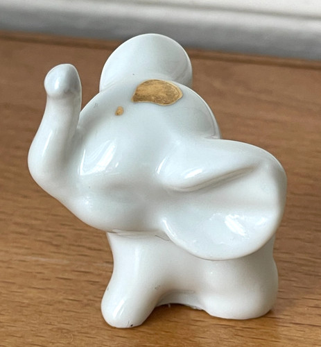 Joli petit eléphant blanc - joli,
