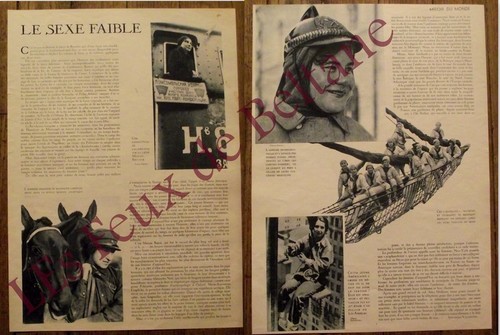 Article sexe faible - le,