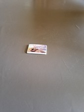 fève Vincent van gogh peintre de la couleur 2016  barques aux  saintes maries