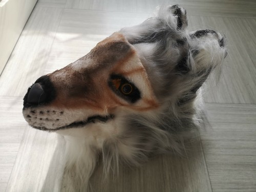 Masque loup adulte animalier - adulte,