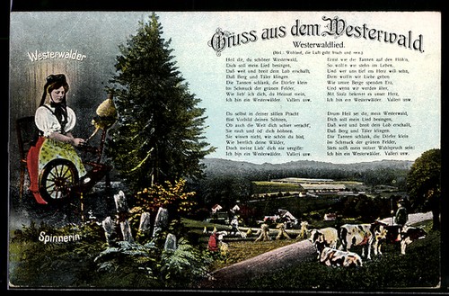 Westerwald spinnerin - spinnerin, am