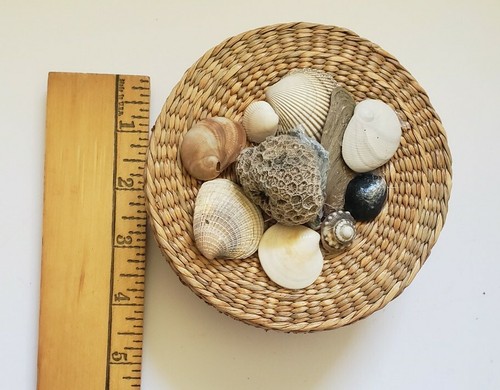 Shell wicker basket - wicker,