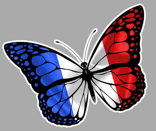 Papillons drapeau france - papillons,