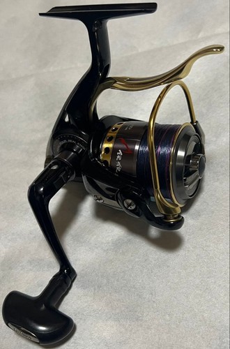 Moulinet daiwa ginro lbd - ginro, 09